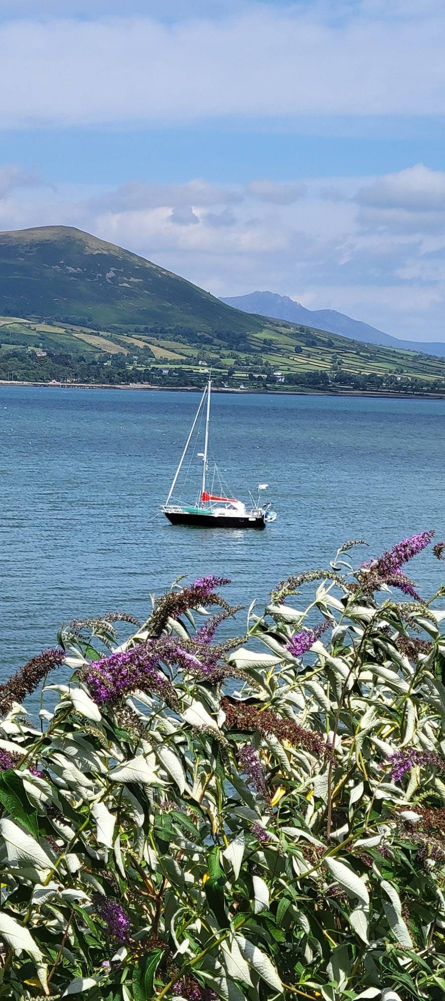 Séjour Irlande - été 2025 (6)-min