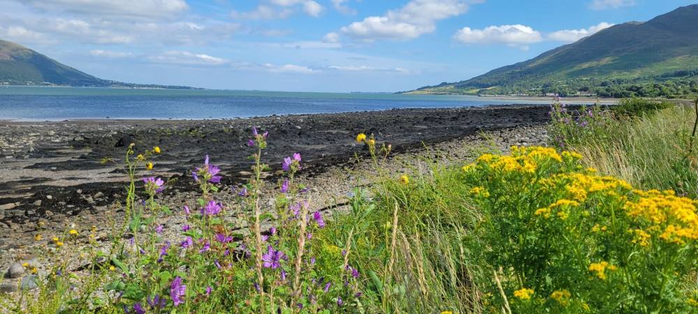 Séjour Irlande - été 2025 (7)-min